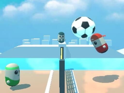 Pin Voleyballs img